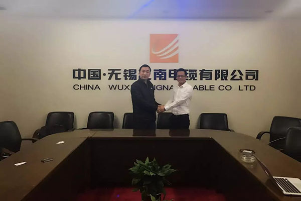 專家11 專家11